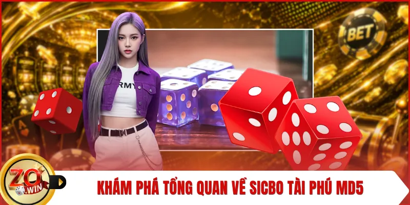 Khám phá tổng quan về sicbo tài phú MD5